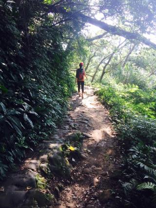 13495199_10153837581819075_1918125886204298873_n