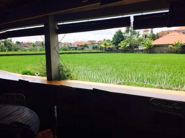 13920856_10153935547409075_7217281466504214041_n